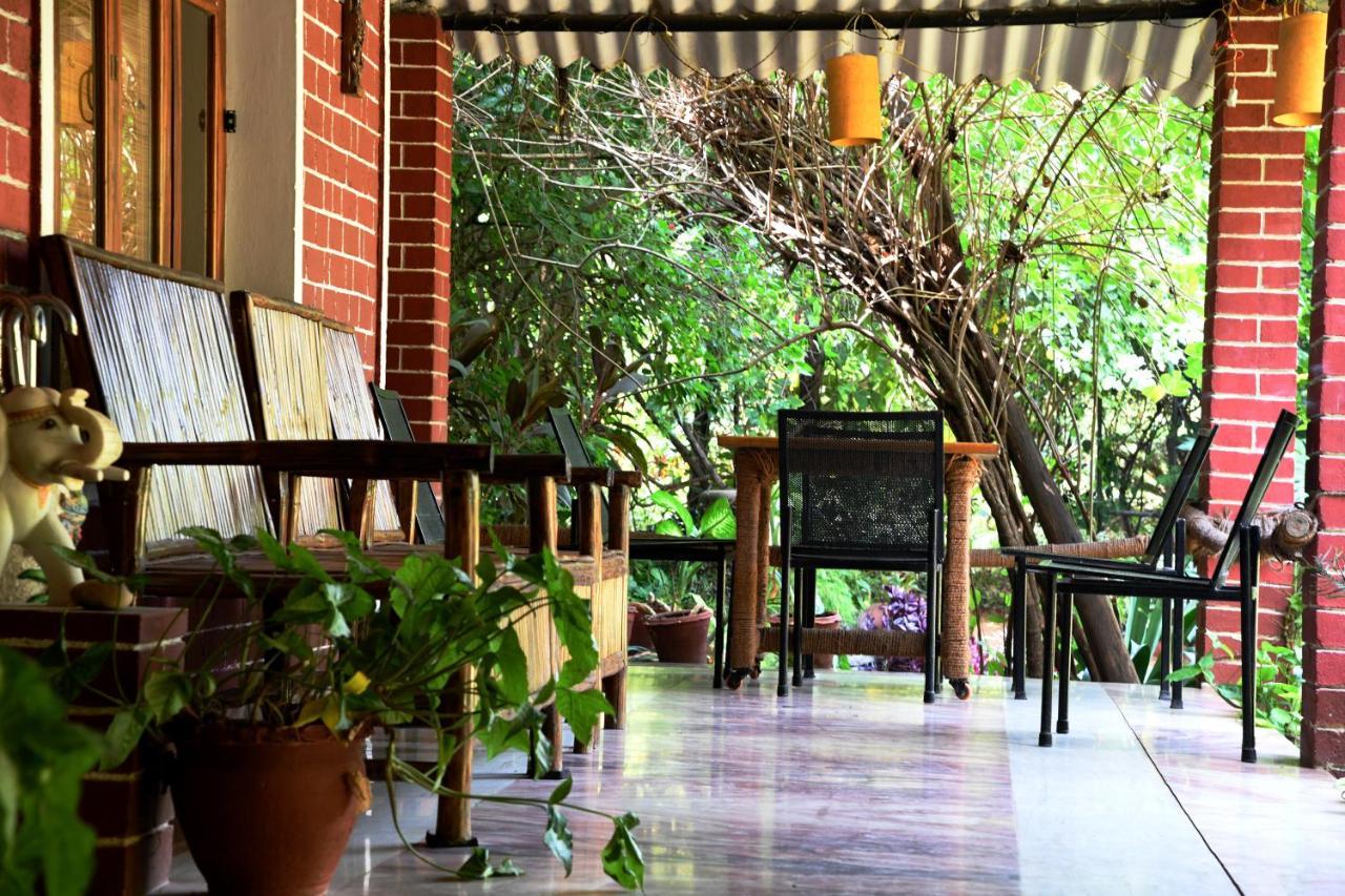 Baaz Jungle Resort Khawāsa Zewnętrze zdjęcie