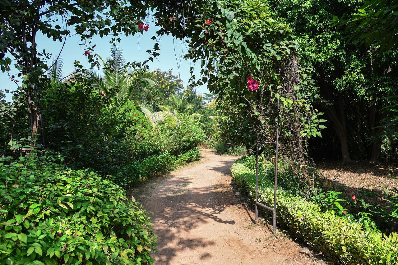Baaz Jungle Resort Khawāsa Zewnętrze zdjęcie