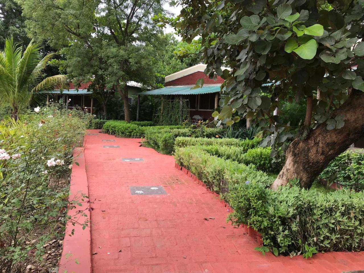 Baaz Jungle Resort Khawāsa Zewnętrze zdjęcie