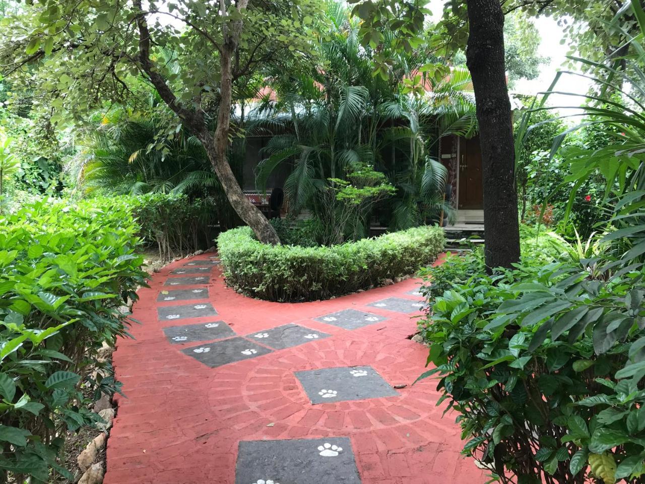 Baaz Jungle Resort Khawāsa Zewnętrze zdjęcie