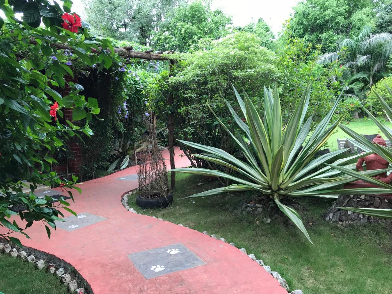 Baaz Jungle Resort Khawāsa Zewnętrze zdjęcie
